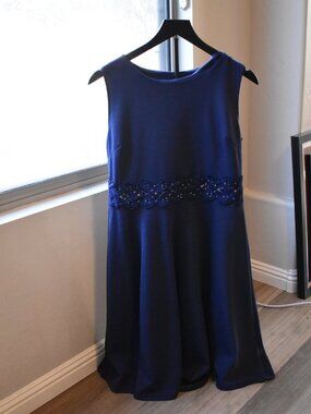 Navy Blue Dress size X Large